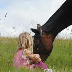 Compassionate Welcoming and Accompaniment of Tender Vulnerable Parts