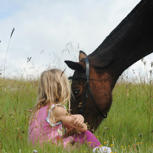 Compassionate Welcoming and Accompaniment of Tender  Vulnerable Parts