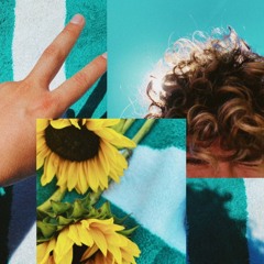 Parked Car - Roy Juno