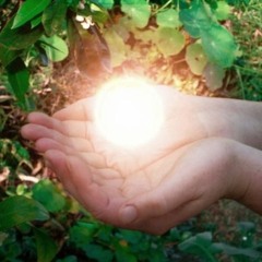 live magically
