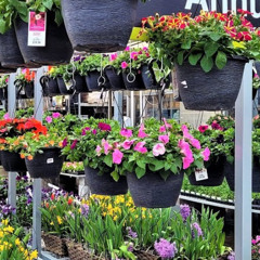 home depot garden section