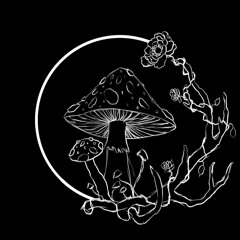 LyfeCycle Vol. 1