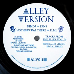 [ALV011] V.A.: DimDj  / TANS / Nothing Was There / FLML "Tracks From The Alley Vol. IV (Snippets)