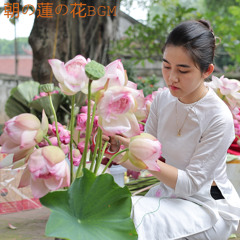 Lotus Flower