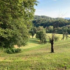 waste ur time w/ starfall