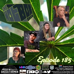 Relevance of cannabis influencers - The #Hotboxshow Episode 185