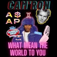 Cam'ron - What Mean The World To You x Flossatramus - Work (dubbledrop Live Mash Up / Trap Minimix)