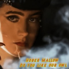 Hober Mallow - Do You Like Our Owl