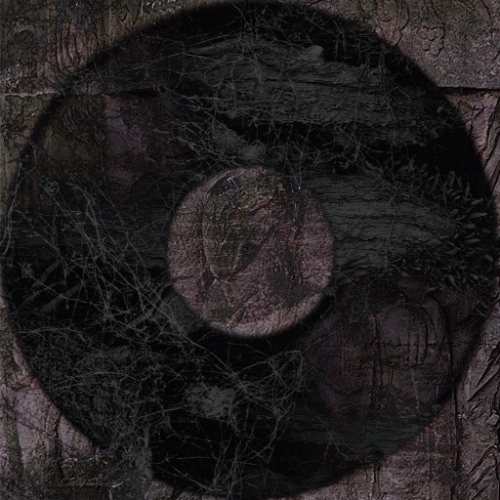 Bias Tees & Losha Sh-Night Run