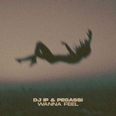wanna feel (slowed to perfection)