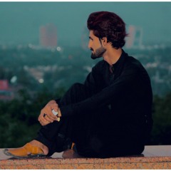 Mulaqat_|_Shahzad_Hashmi_&_Silent_Girls_