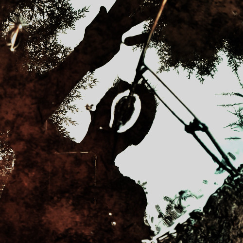 It's been a long time... (LDSR217)