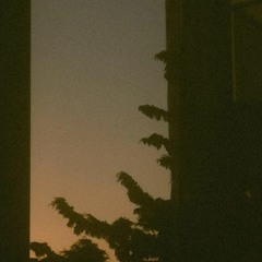 Sevmemeliyiz   /cover/