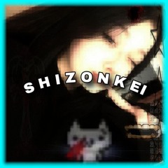 🔅 shizoFDnkei_bootleg145.avi [bbbernArD + dj shizoid] 🔅