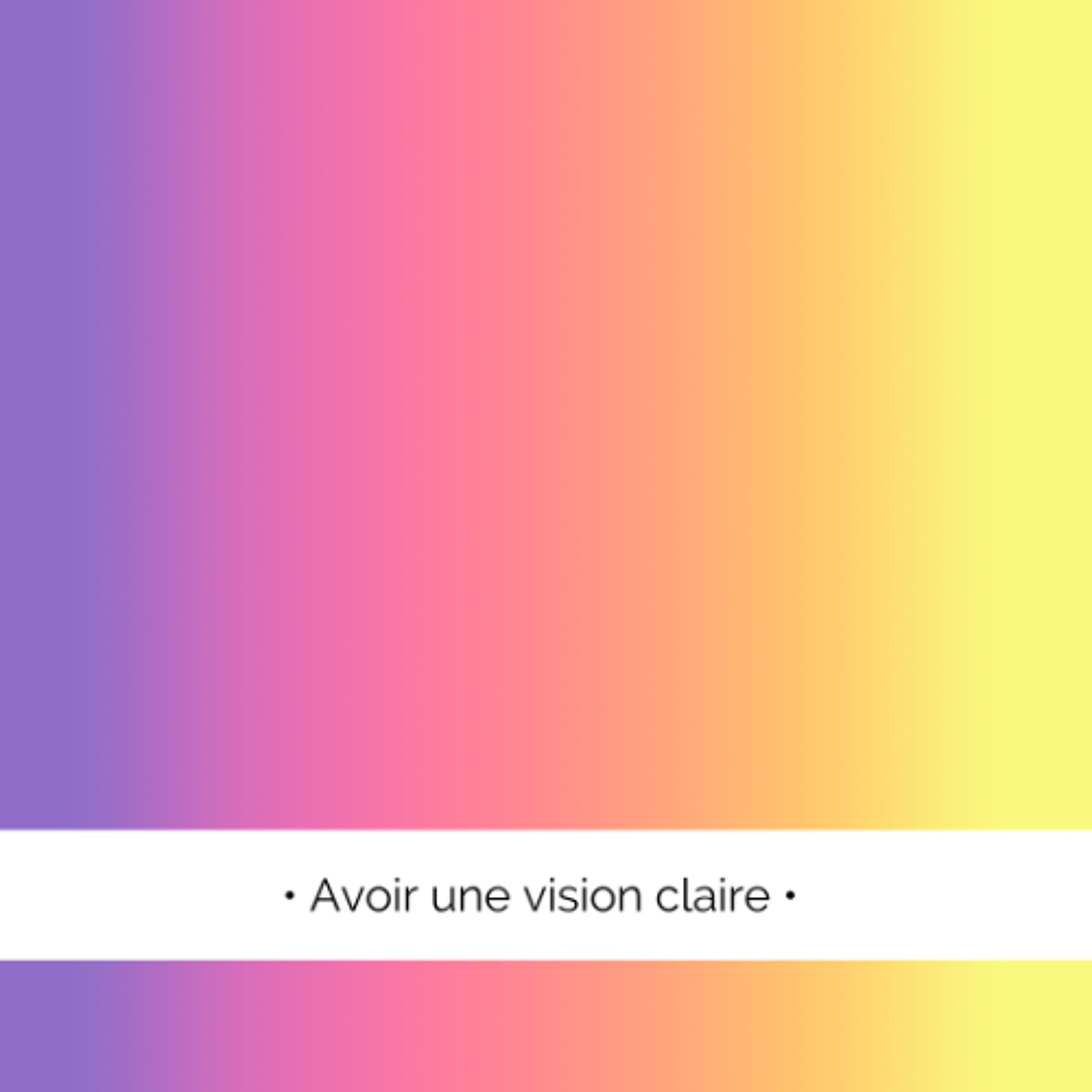 ✨ Avoir une vision et l'atteindre !