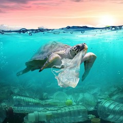 then plastic came along