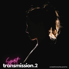 Spirit Transmission: Volume 2