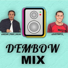 DJ Piddy Goldo X DJ Stripes - Dembow Mix