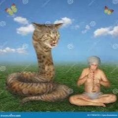 fucked up snake charmer smokes that shit and starts fucking tripping balls