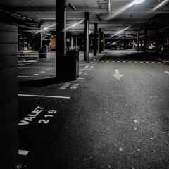 Night Crawler