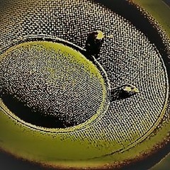 BASSRUBS 18: UNCHARTED (Studio Mix)