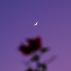 PREMIERE: Valentin Calin - In My Heart