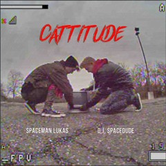 Cattitude (Instumental)