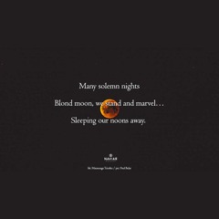 Moonwatcher [naviarhaiku397]