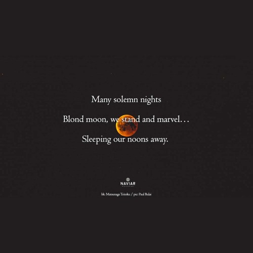 Moonwatcher [naviarhaiku397]