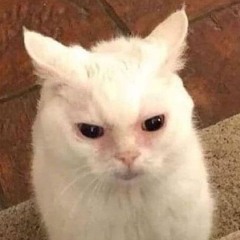 Enjoy This Trip •Vox_sfx•