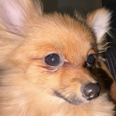 Forever (featuring Starch God) Prod.Lord Backwood