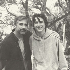 beautiful boy [steve carell]