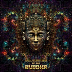 VISHNU - Buddha's Path into the Darkside