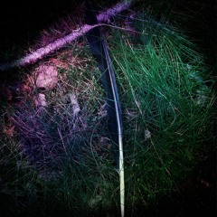 Last Theophany