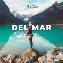 Wild Pony - Del Mar