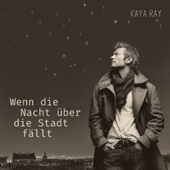 Wenn die Nacht über die Stadt fällt