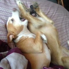 Think About This (1)