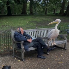 Hunesco  Kulturgut Set #2