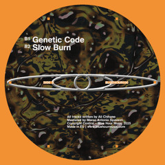 Premiere: DJ Ali - Genetic Code [BLUEHOUR030]