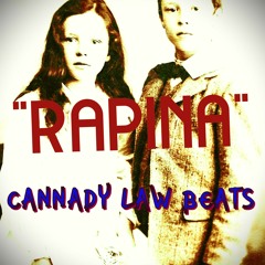 Rap x Hip Hop Typebeat - [RAPINA] 90BPM D MAJOR
