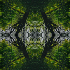 The Eryndor - Pachamama Breath