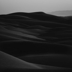 DesertSounds-002LIVE0211'20