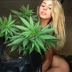 Макс Корж По дороге в Амстердам