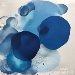 Curious Tide