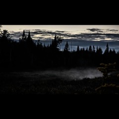 153 (Demo)