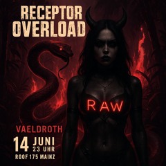 Receptor Overload ⸸ Promomix ⸸ VAELDROTH ⛧