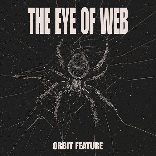 The Eye Of Web