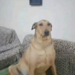 MONTAGEM MEXILO ESTANHO x Autism Remix
