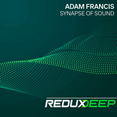 Synapse of Sound (Extended Mix)