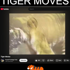 Loop Diggers SRC 228 Trk 3 - Tiger Moves 🐅